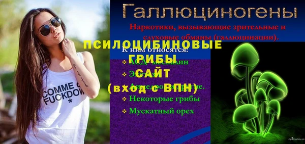 хмурый Балахна