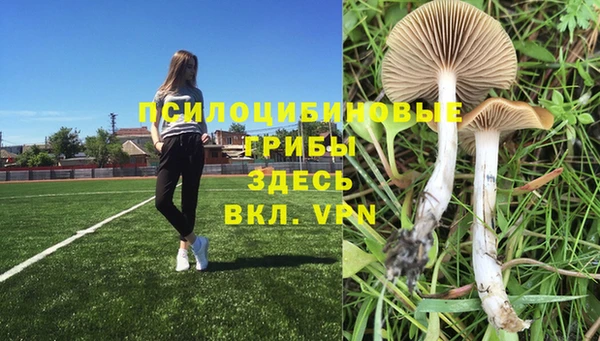 хмурый Балахна