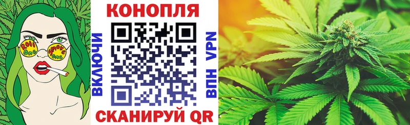 Конопля гибрид Зима